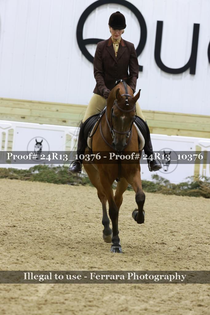 Proof 24R13_10376