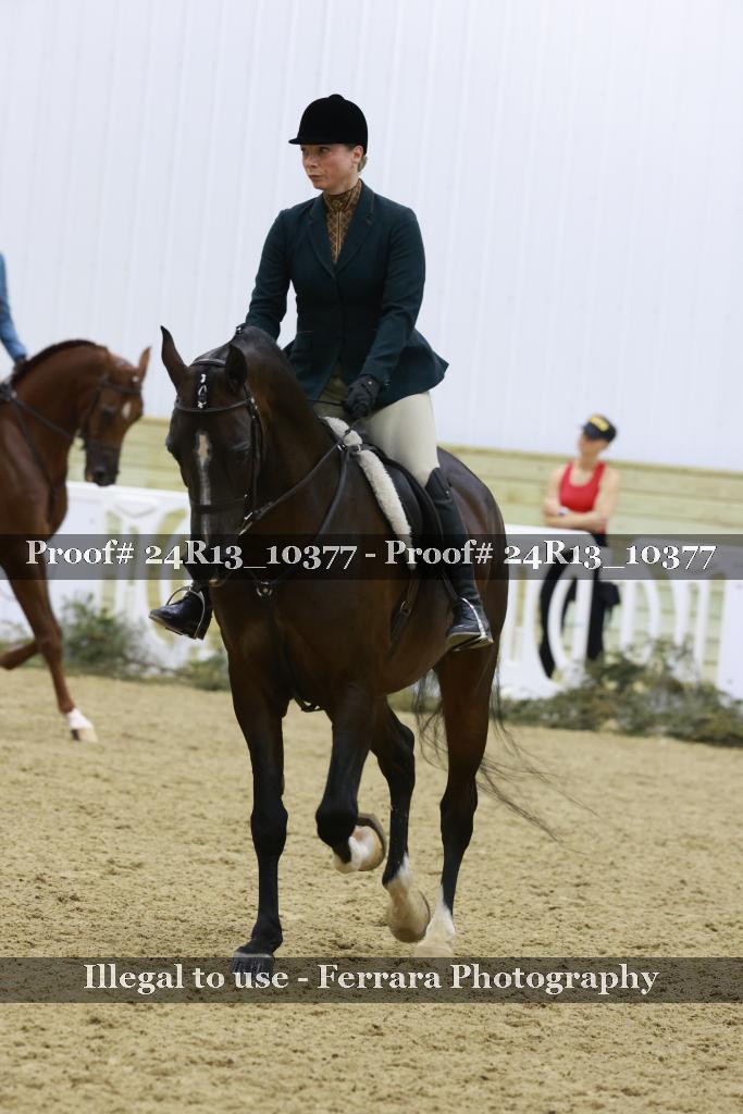Proof 24R13_10377