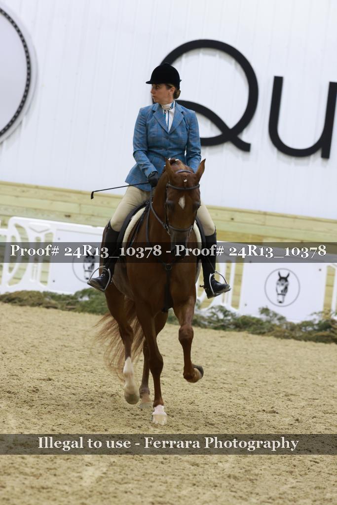 Proof 24R13_10378