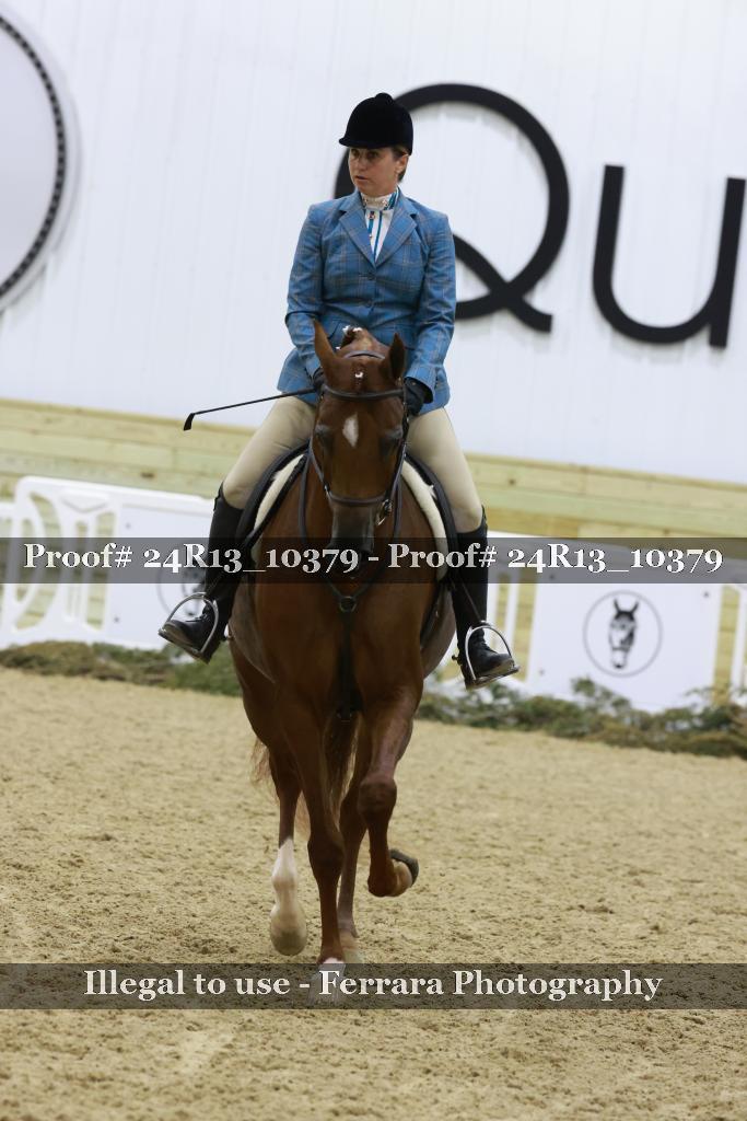 Proof 24R13_10379