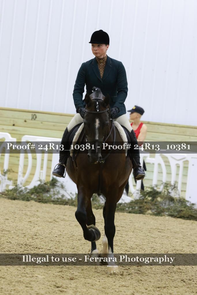 Proof 24R13_10381