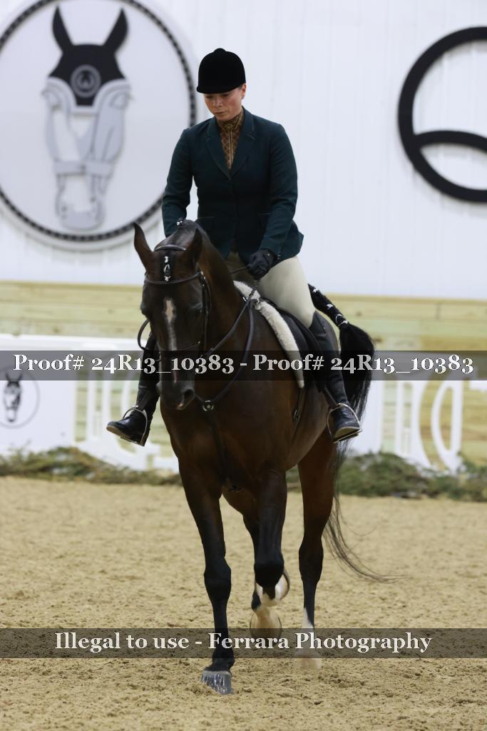 Proof 24R13_10383