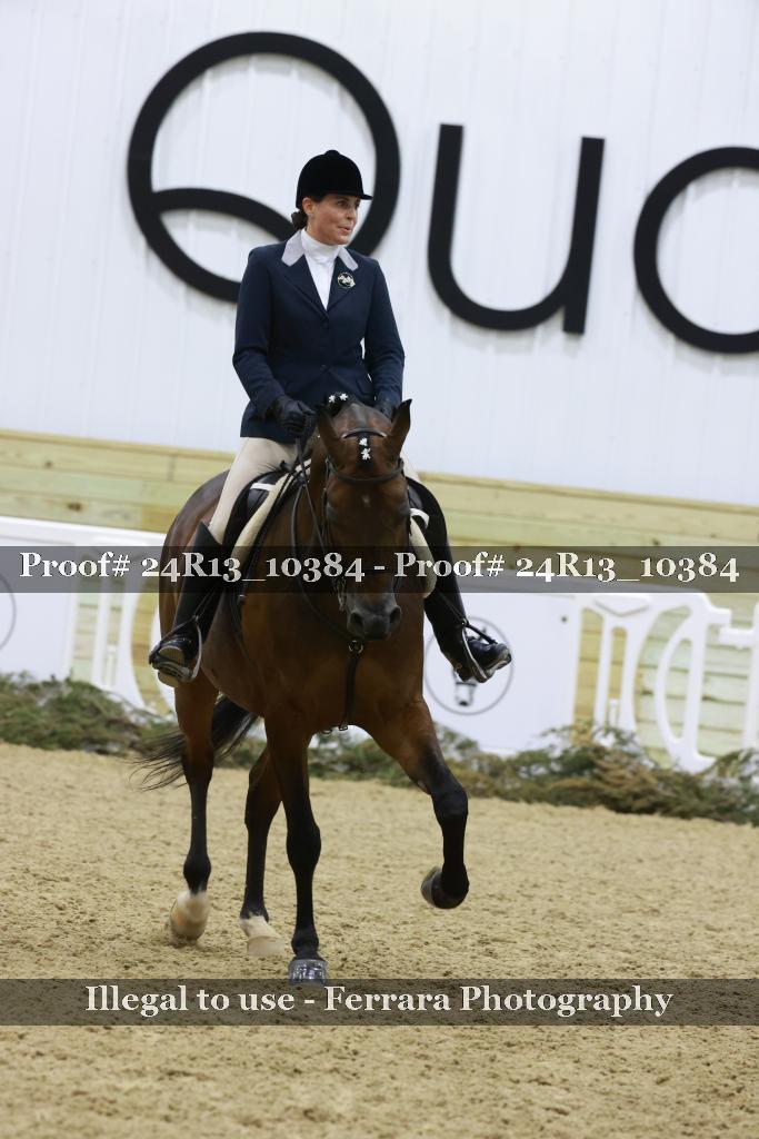 Proof 24R13_10384