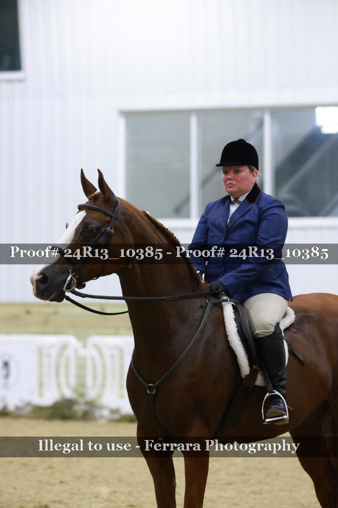 Proof 24R13_10385