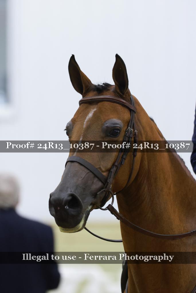 Proof 24R13_10387