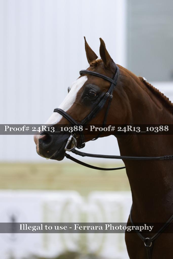 Proof 24R13_10388