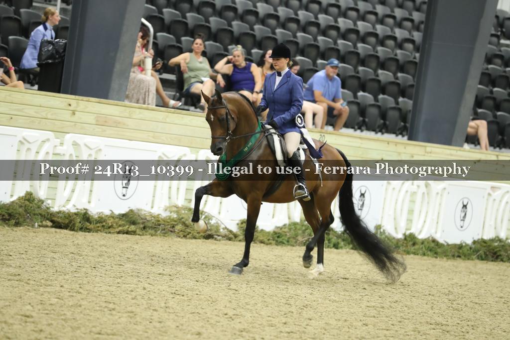 Proof 24R13_10399