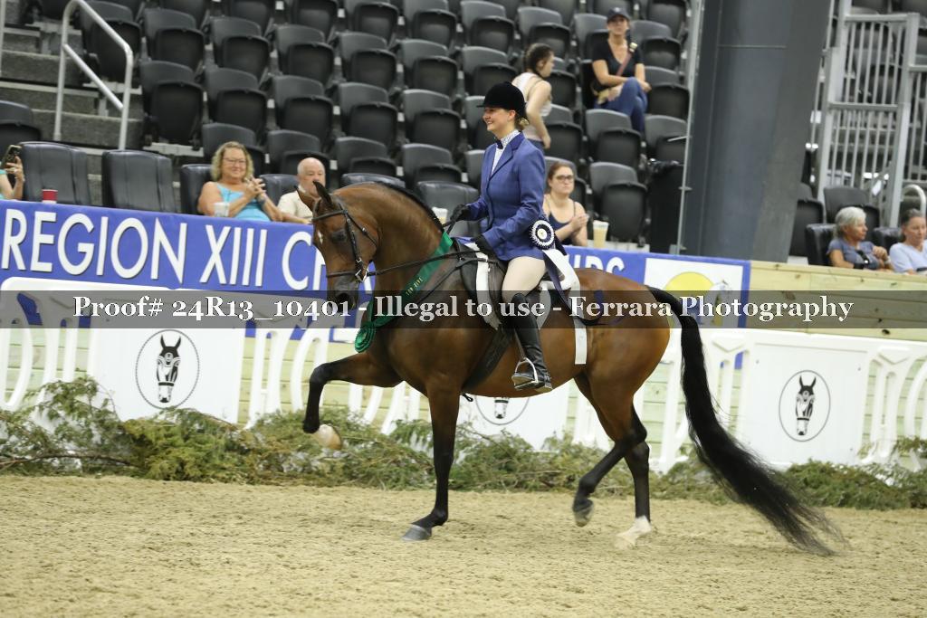 Proof 24R13_10401