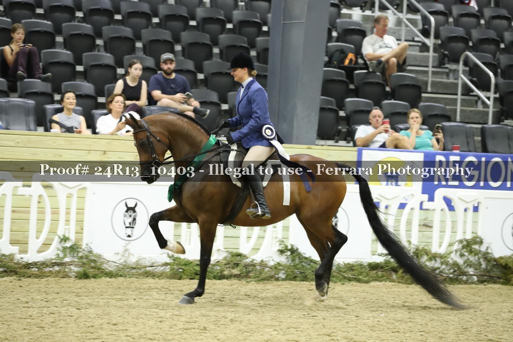 Proof 24R13_10403