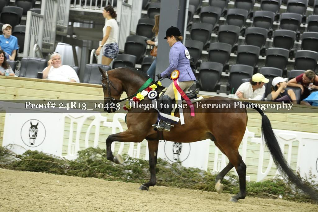 Proof 24R13_10423