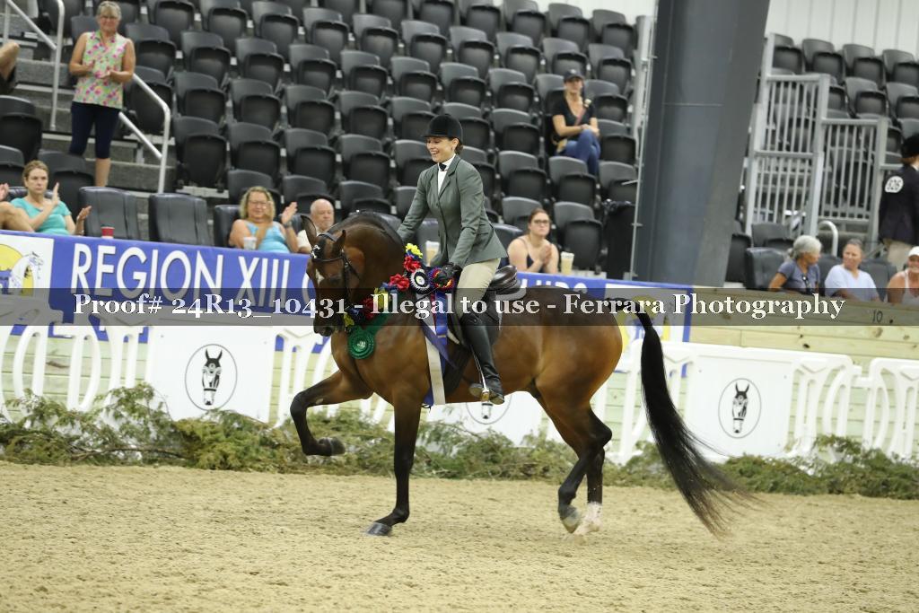 Proof 24R13_10431