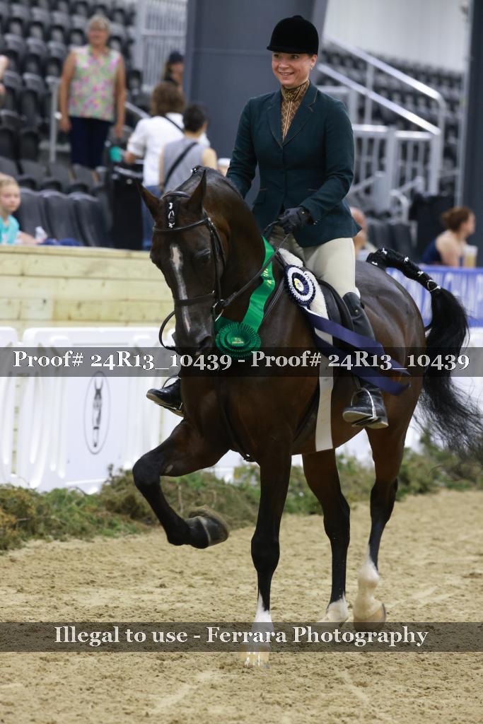 Proof 24R13_10439