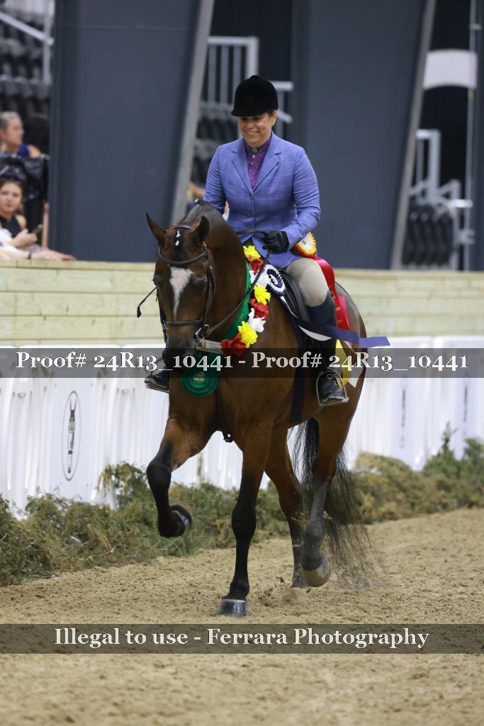 Proof 24R13_10441
