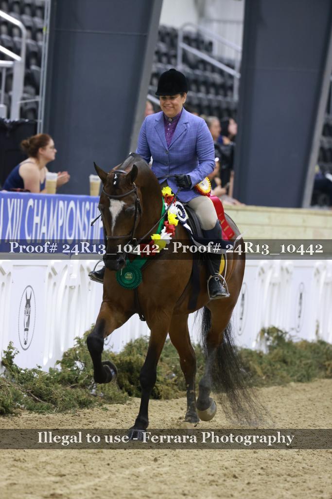 Proof 24R13_10442