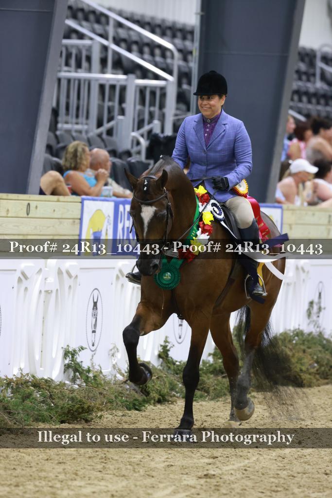 Proof 24R13_10443
