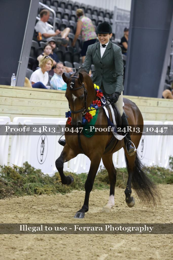 Proof 24R13_10447