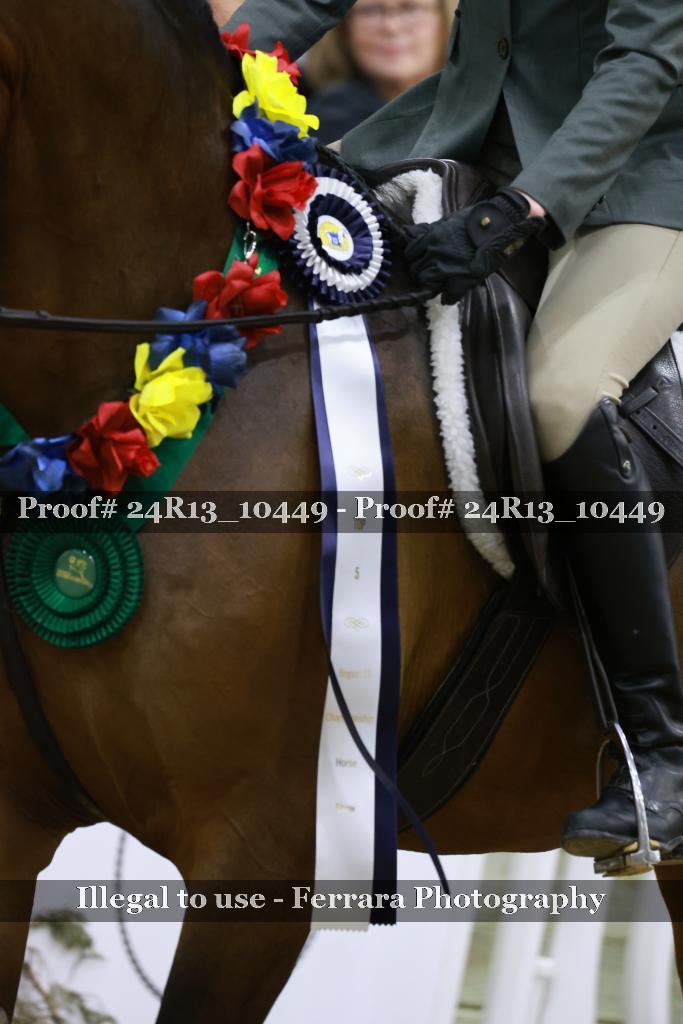 Proof 24R13_10449
