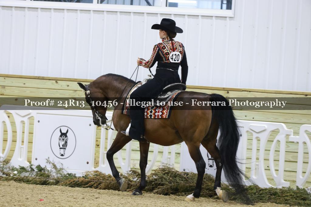Proof 24R13_10456