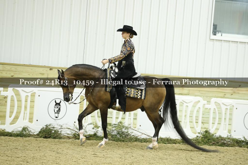 Proof 24R13_10459