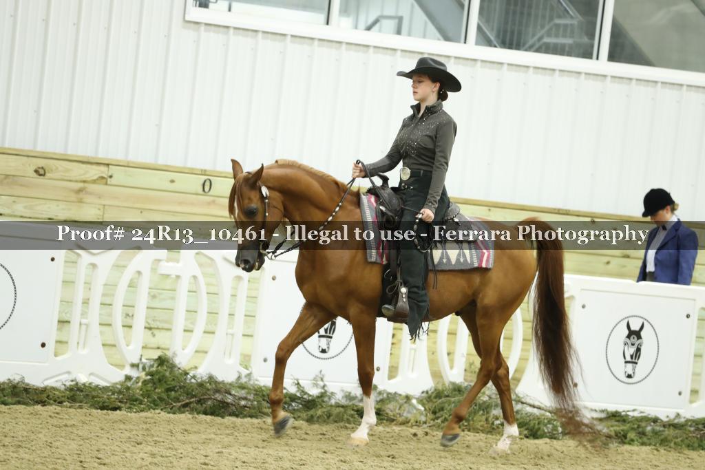 Proof 24R13_10461
