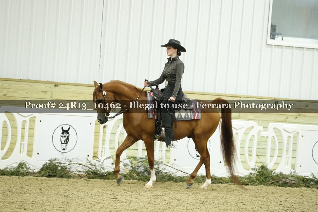 Proof 24R13_10462