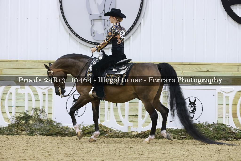 Proof 24R13_10464