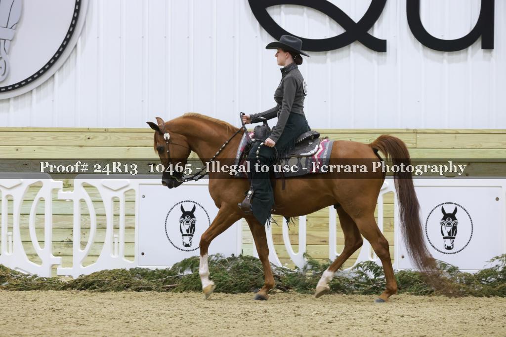 Proof 24R13_10465