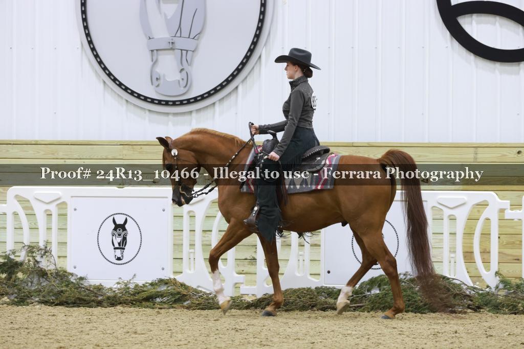 Proof 24R13_10466
