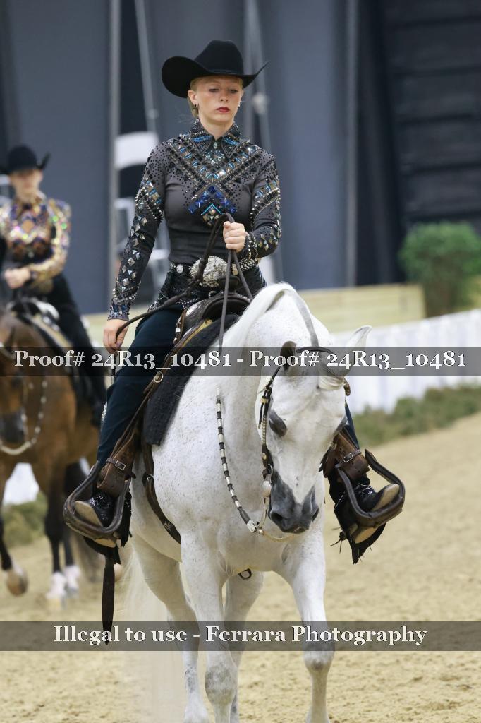 Proof 24R13_10481