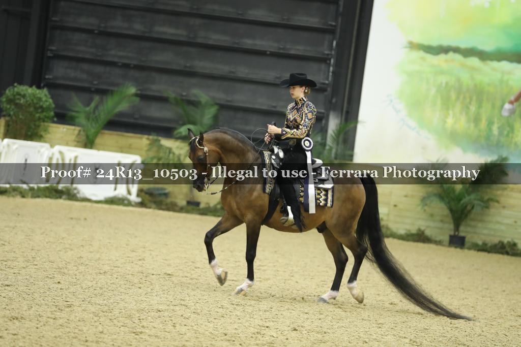 Proof 24R13_10503