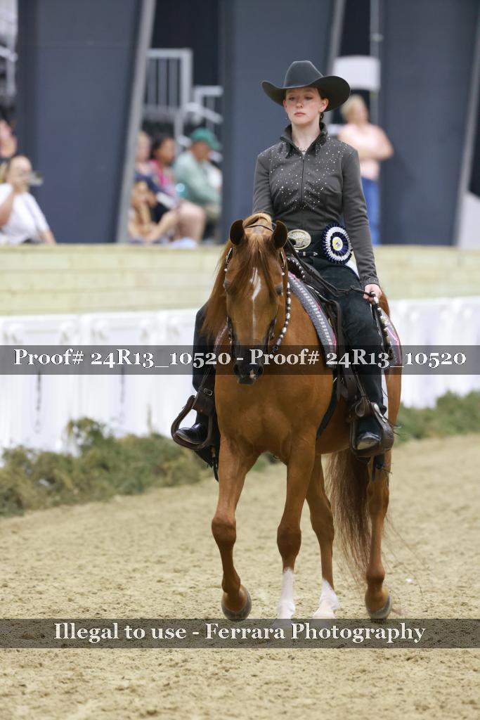 Proof 24R13_10520