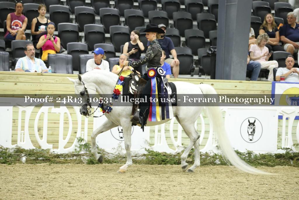 Proof 24R13_10531