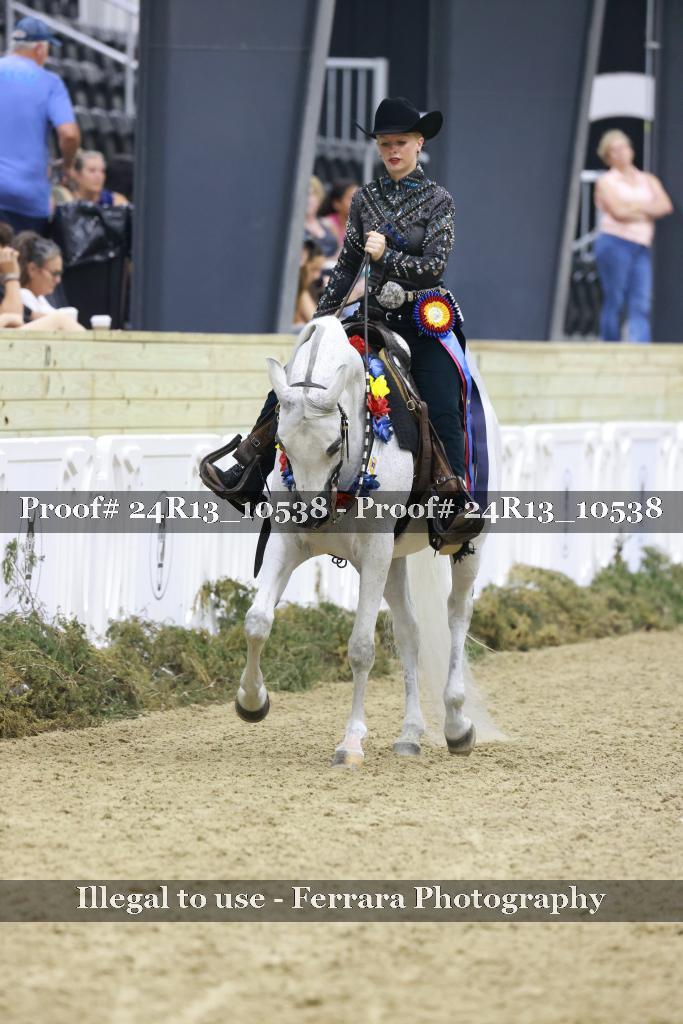 Proof 24R13_10538