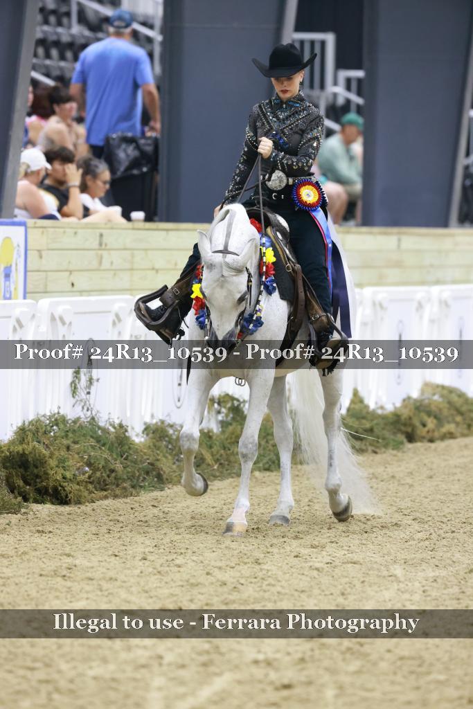 Proof 24R13_10539