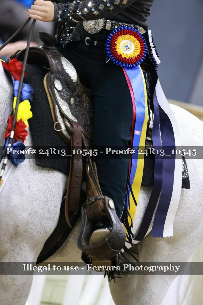 Proof 24R13_10545