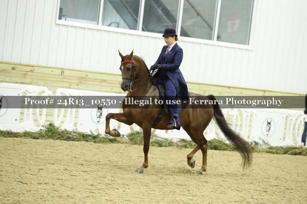 Proof 24R13_10550