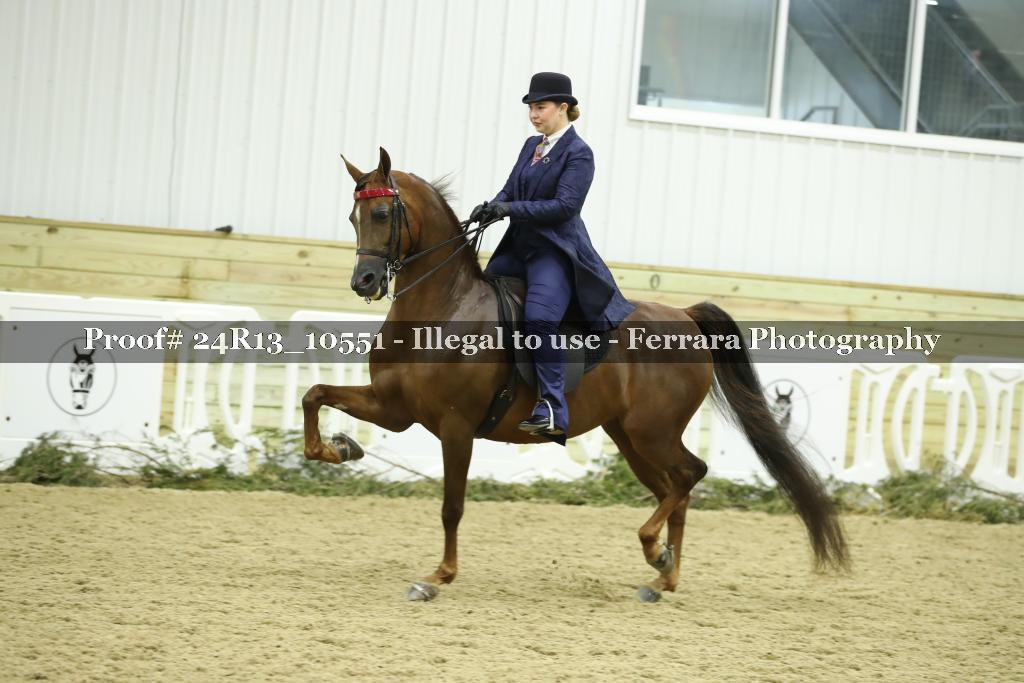 Proof 24R13_10551