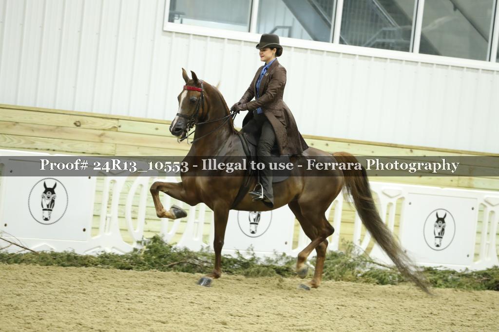 Proof 24R13_10553