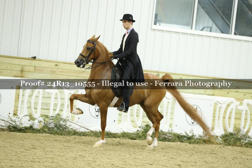 Proof 24R13_10555