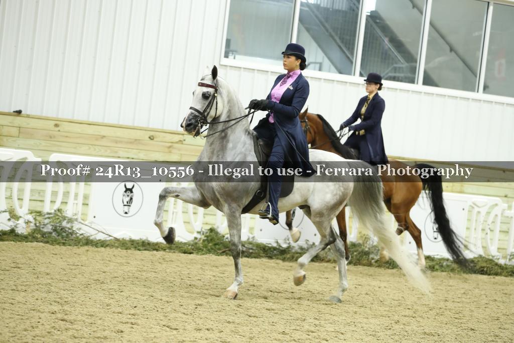 Proof 24R13_10556