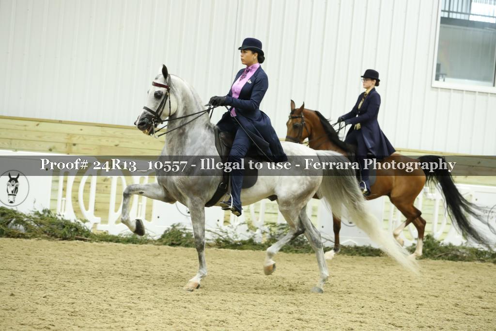 Proof 24R13_10557