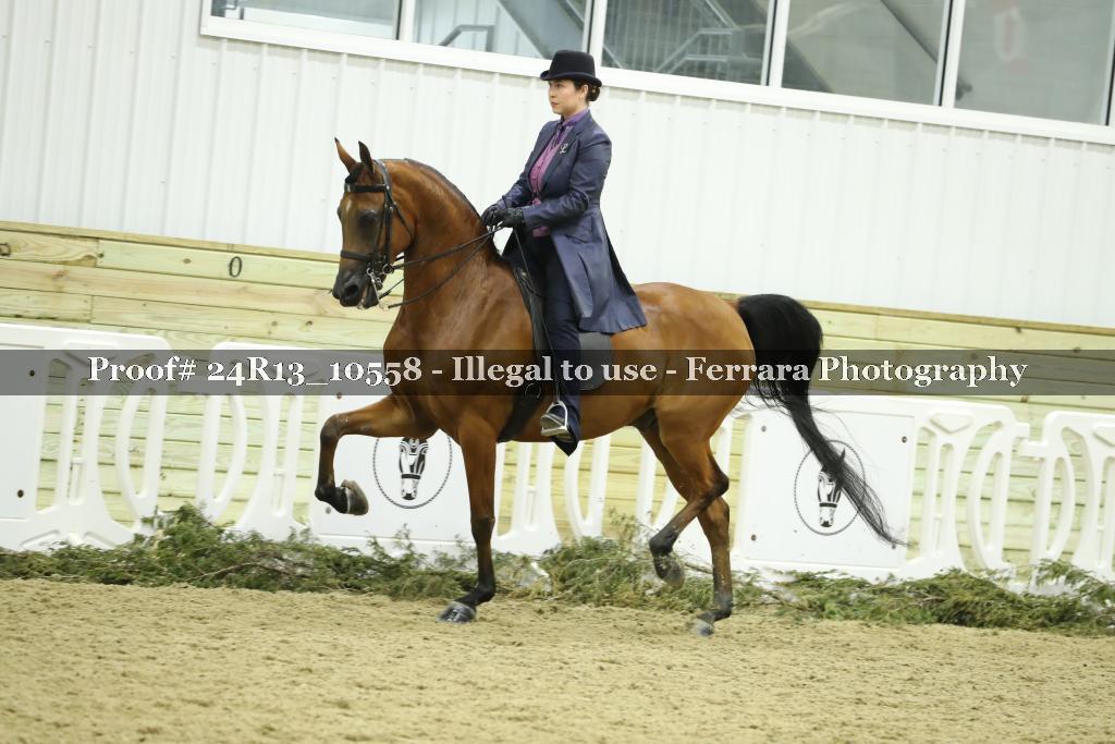 Proof 24R13_10558