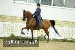 24R13_10558 proof