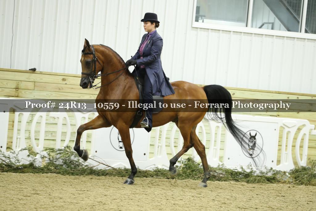 Proof 24R13_10559
