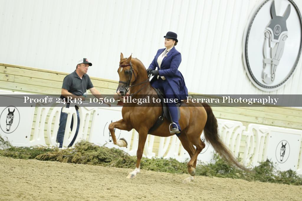 Proof 24R13_10560