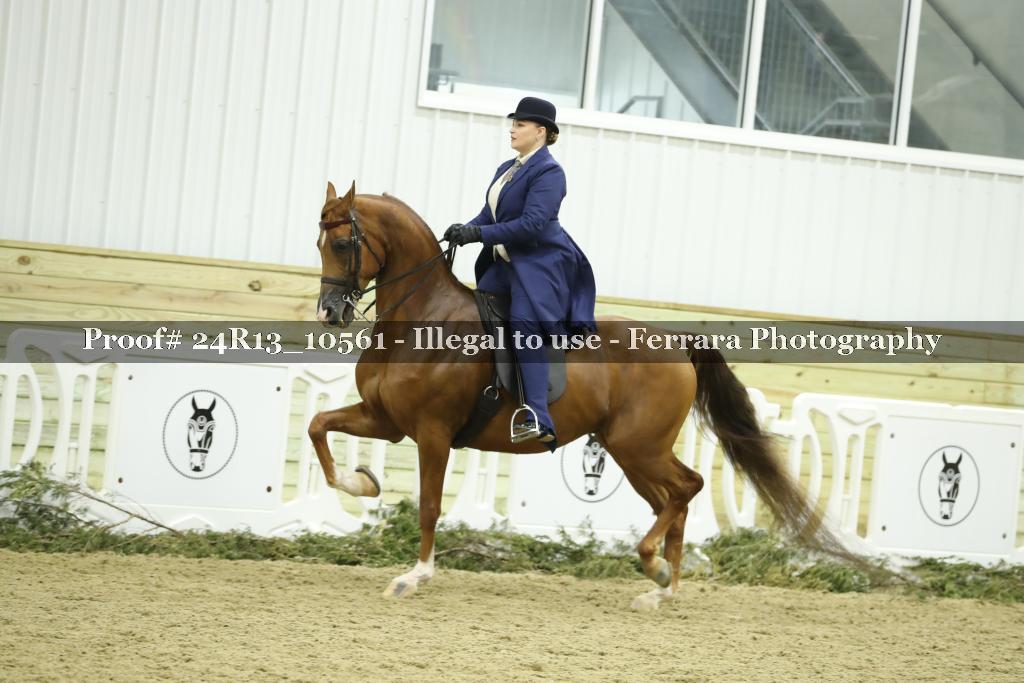 Proof 24R13_10561