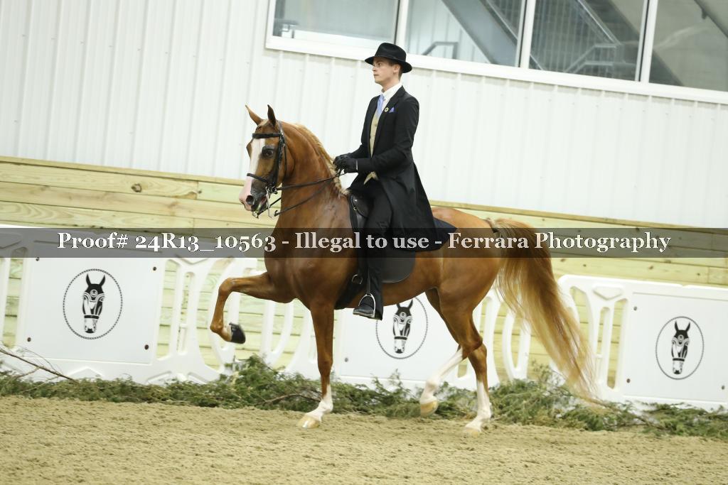 Proof 24R13_10563