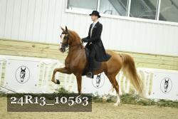 24R13_10563 proof
