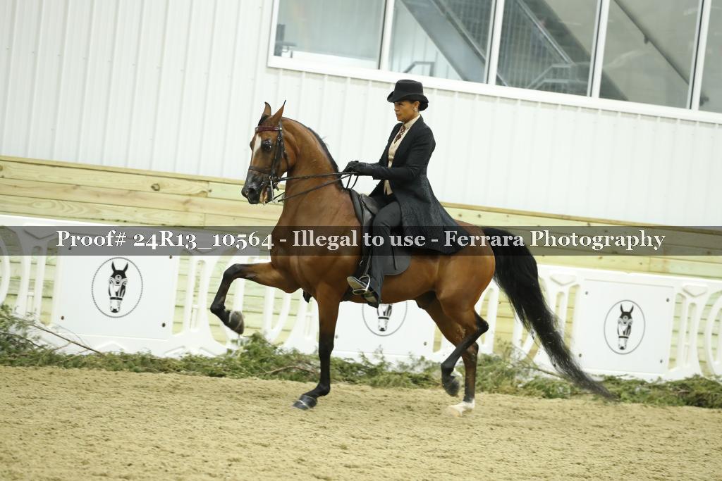 Proof 24R13_10564