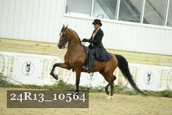 24R13_10564 proof